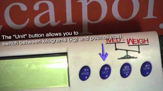 Cal Poly FLASH Video Tutorial - Equipment Familiarization: Weight Scales