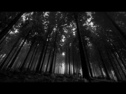 Olympus Lenticular - IO