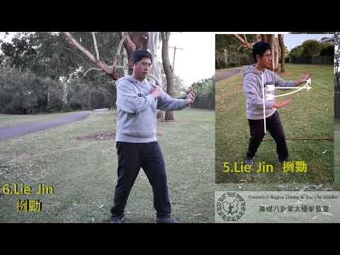 Yang Style Tai Chi Lao Liu Lu Quan Visualization Method Explanation Part12:Lie Jin 楊式太極老六路拳心法簡釋 : 挒勁