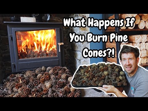 Burning Pine Cones in a Fireplace… The Results Are INSANE!