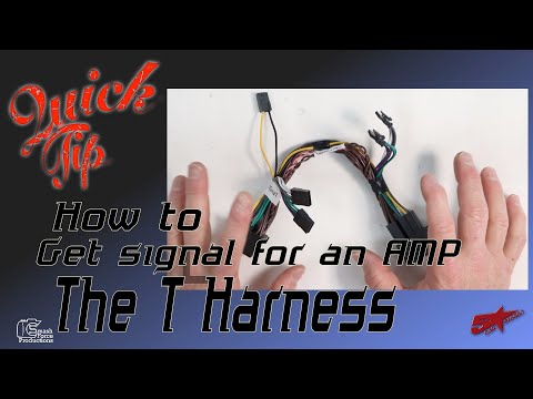 How to get signal for an amp The  T Harness