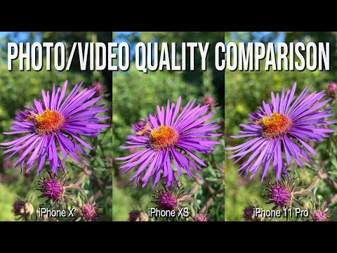 iPhone 11 Pro vs iPhone XS and iPhone X: Camera Test (Sample Image/Video Quality Comparison)