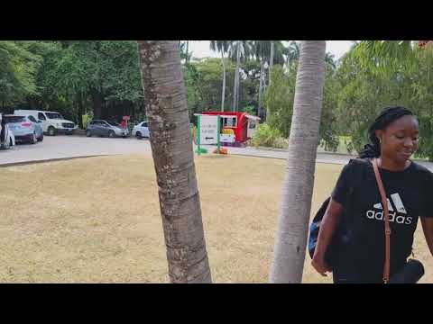 152. The Bartender: Where Did You Tell Him You're Going?