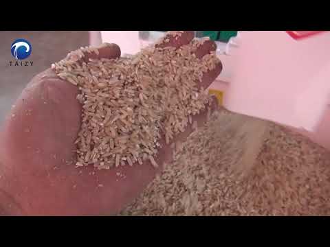 Overview about the rice destoner machine