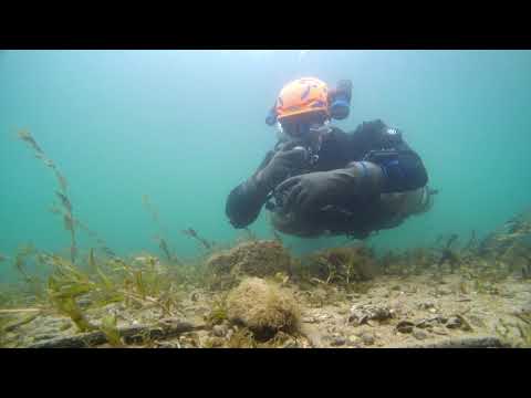 Toddy Snap Break-Away Test 02