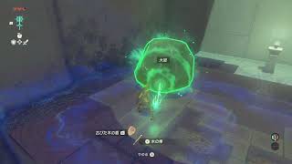 #2 ゼルダの伝説 ティアーズオブザキングダムを思いのままに遊ぶ。2つづ��