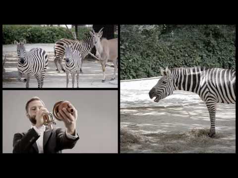 #klangberlins Folge 3 - Zoo