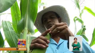 Impulsa Cuba Programa de Soberanía Alimentaria y Nutricional