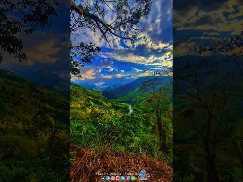Génova Quindío 🌳......#elghost👻 #alexghost12 #quindio #paisajes #reels