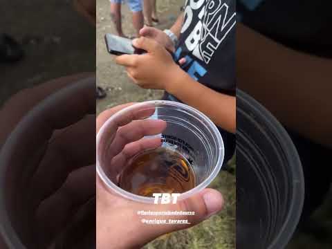 TBT FIORINO PERTURBADA DO URSO (RS)