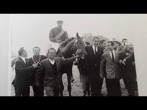 Pillole di Ippica - Gino e Luciano Mantovani, 50 anni di meravigliosa passione