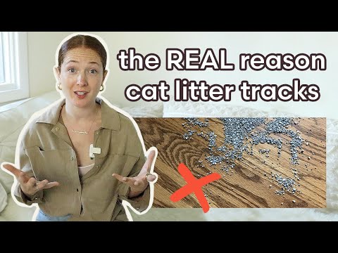 The BAD HABITS That Cause Cat Litter Tracking