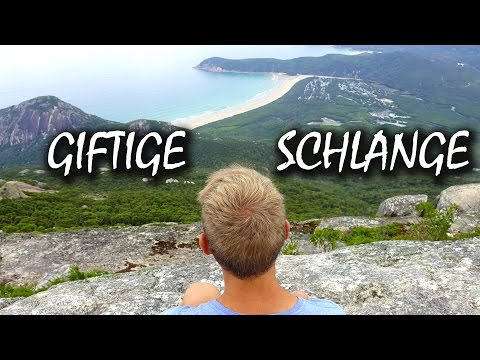 Giftige Schlange im Wilson Promontory Nationalpark - Australien | VLOG 82