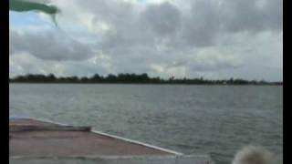 preview picture of video 'Suriname boomkippen en tuimelaars'