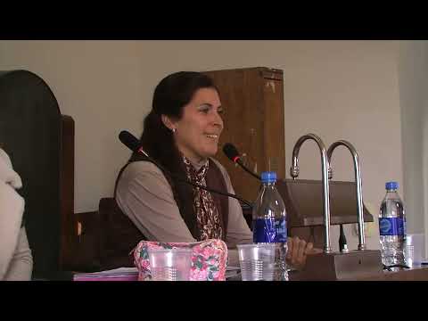 PARLAMENTO JUVENIL BONAERENSE DISTRITO DE PELLEGRINI