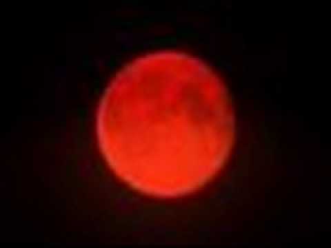 Blood In The Moonlight