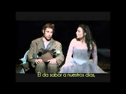 Papageno and Pamina Duet "Bei Männern, welche Liebe fühlen"