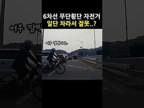 6차선 무단횡단한 자전거 일단 차라서 잘못이라고요?