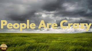 Billy Currington - People Are Crazy (Lyrics)