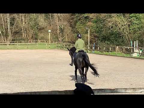 Nicola, Half pass after band removed.