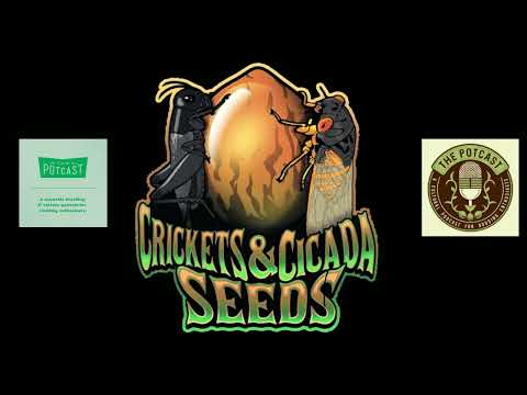 Episode 57 Ft Mr Bob HEmphill of Crickets and Cicada Seeds - 24/7/21 - The Pot Cast