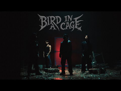 Double Tape - Bird In A Cage (Official Music Video)