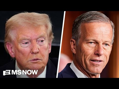 Trump wants 'as many loyal Senators as possible' in case a Dem-led House tries to impeach: Rohde