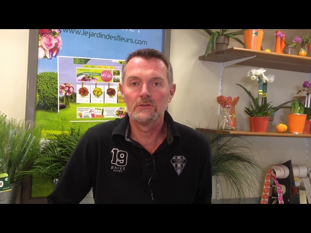 Témoignage de Gautier Laflaquière, franchisé Le Jardin des Fleurs