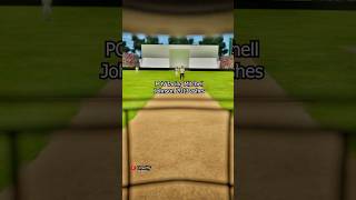 POV facing Mitchell Johnson 2013 ashes #cricket #ashes #australia #animation