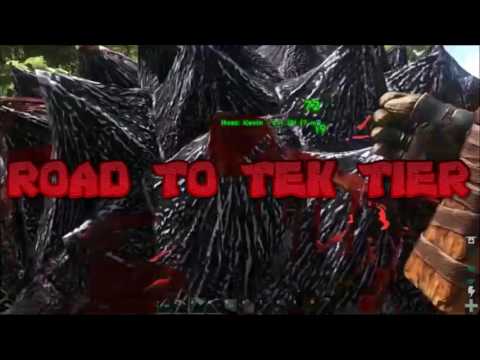 ROAD TO TEK TIER EP.1