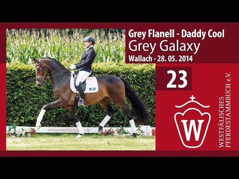 23 Grey Galaxy Wallach v. Grey Flanell - Daddy Cool