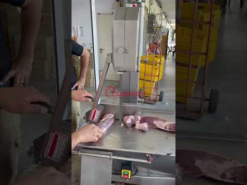 MEAT AND BONE SAW MACHINE