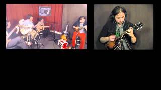 Hippyhead's Spotlight - 3/27/14 - Red Wolf 2