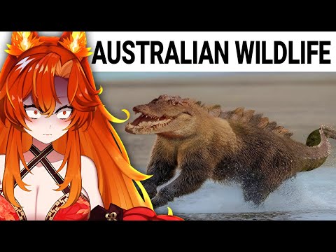 Everything In Australia Wants To End You..