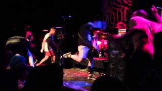 Hundredth "Willows" LIVE