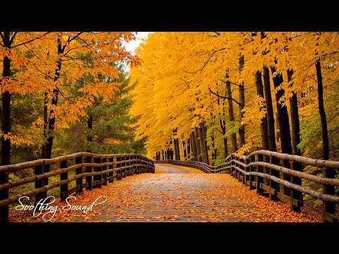 Schöne entspannende Musik 🍁 Herbstharmonie zur Beruhigung der Emotionen und für inneren Frieden