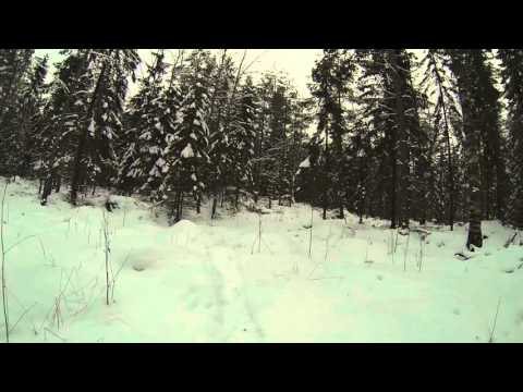 tästä käveleen & lenkki jatkuu