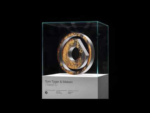 Tom Tyger & Melsen vs Axwell - I Need The Sunrise (Stex mashup)