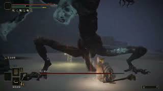 [法環] 設計得最好/最爛的大型boss分別是誰