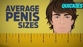 Average Penis Sizes with Best Sex Positions  Quick