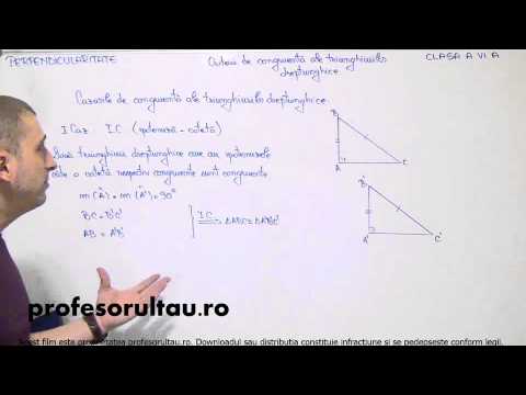 congruenta triunghiurilor dreptunghice - profesorultau.ro