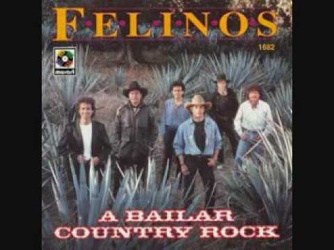 download lagu mp3 mp4 Los Felinos Jambalaya Country, download lagu Los Felinos Jambalaya Country gratis, unduh video klip Los Felinos Jambalaya Country