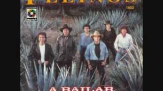 JAMBALAYA COUNTRY LOS FELINOS.wmv