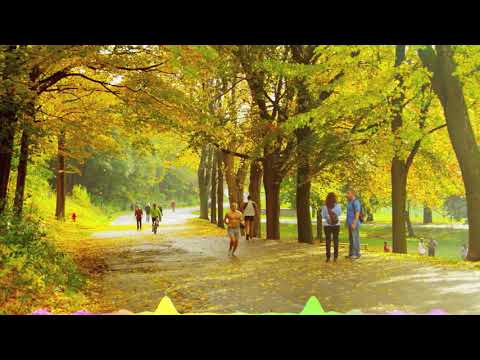 Body on Body - Basixx feat. Emmi (Official Lyric Video 2021)