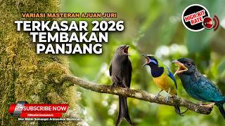 Download lagu 🔴 Live Masteran Terkasar 2026 Tengkek Buto Greja Necret Cucak Cungkok Super Gacor Muntah Koral mp3