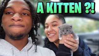 My GIRLFRIEND Got Us A KITTEN *I'm Scared Of CATS*