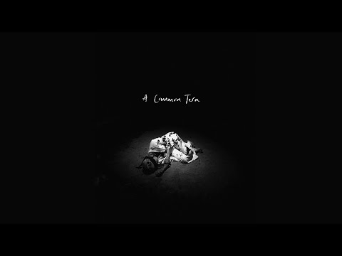 Anna B Savage - A Common Tern (Official Video)