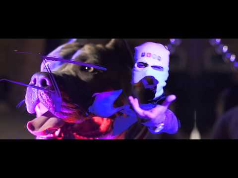 Bodak Kash - Mike Kash (Bodak Yellow Freestyle)