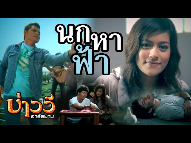 นกหาฟ้า - บ่าววี