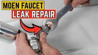 How to Fix a Leaky Moen Single Handle Faucet in Minutes!